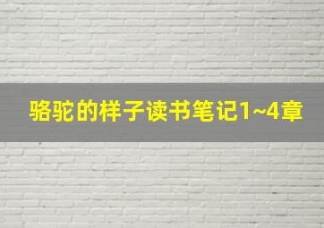 骆驼的样子读书笔记1~4章