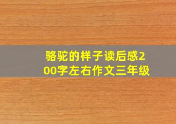 骆驼的样子读后感200字左右作文三年级