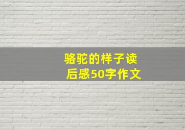 骆驼的样子读后感50字作文