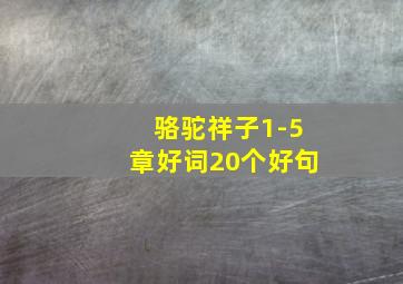 骆驼祥子1-5章好词20个好句