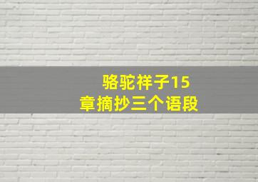 骆驼祥子15章摘抄三个语段