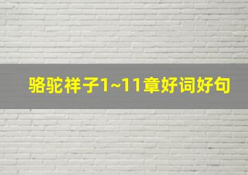 骆驼祥子1~11章好词好句