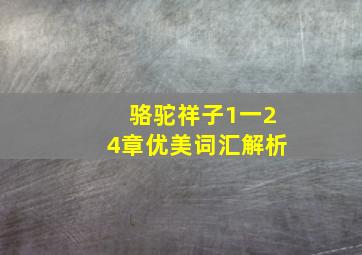 骆驼祥子1一24章优美词汇解析