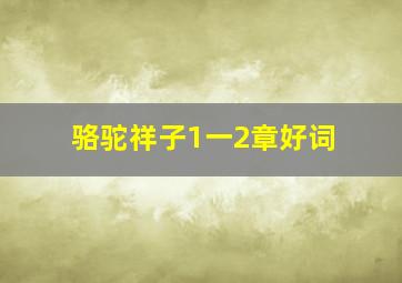 骆驼祥子1一2章好词