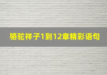 骆驼祥子1到12章精彩语句