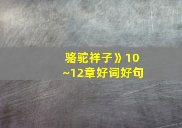 骆驼祥子》10~12章好词好句