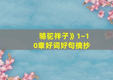 骆驼祥子》1~10章好词好句摘抄