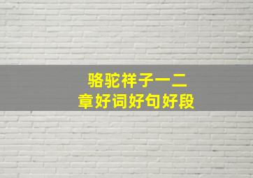 骆驼祥子一二章好词好句好段