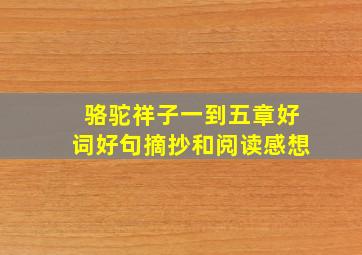 骆驼祥子一到五章好词好句摘抄和阅读感想