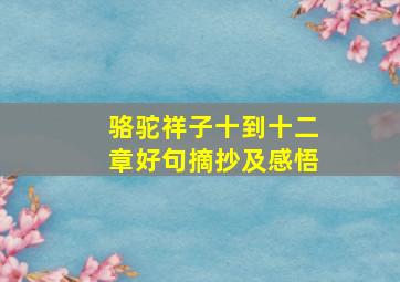 骆驼祥子十到十二章好句摘抄及感悟