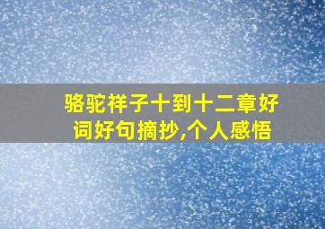 骆驼祥子十到十二章好词好句摘抄,个人感悟