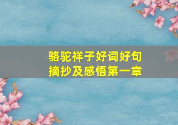 骆驼祥子好词好句摘抄及感悟第一章