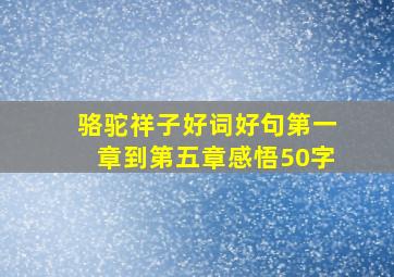 骆驼祥子好词好句第一章到第五章感悟50字