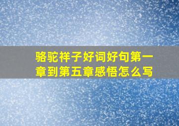 骆驼祥子好词好句第一章到第五章感悟怎么写