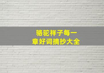 骆驼祥子每一章好词摘抄大全