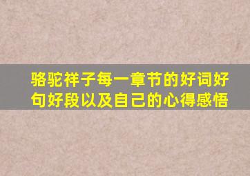 骆驼祥子每一章节的好词好句好段以及自己的心得感悟