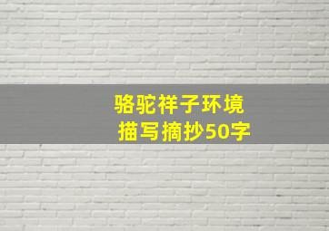 骆驼祥子环境描写摘抄50字