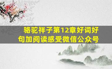 骆驼祥子第12章好词好句加阅读感受微信公众号