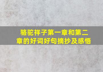 骆驼祥子第一章和第二章的好词好句摘抄及感悟