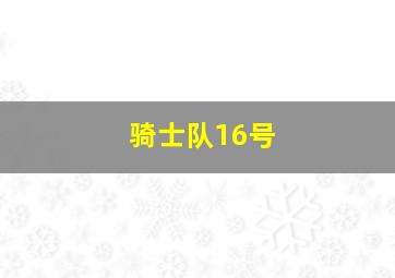 骑士队16号