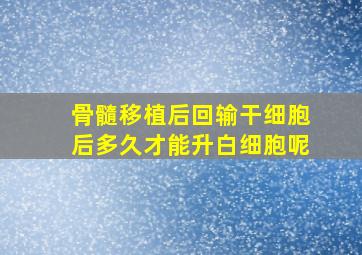 骨髓移植后回输干细胞后多久才能升白细胞呢