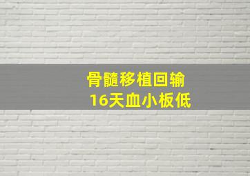 骨髓移植回输16天血小板低