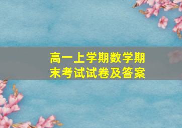 高一上学期数学期末考试试卷及答案