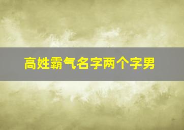 高姓霸气名字两个字男