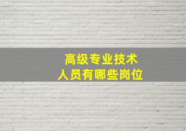 高级专业技术人员有哪些岗位