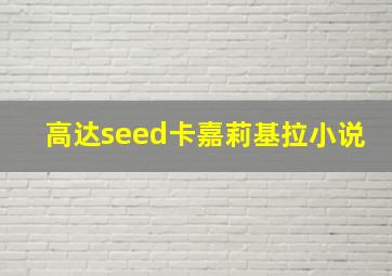 高达seed卡嘉莉基拉小说