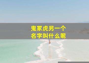 鬼冢虎另一个名字叫什么呢