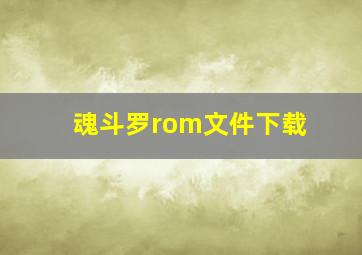 魂斗罗rom文件下载