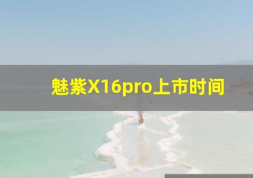 魅紫X16pro上市时间