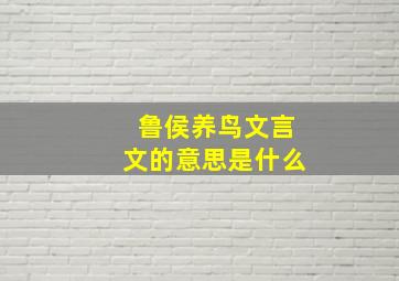 鲁侯养鸟文言文的意思是什么