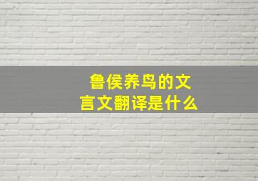 鲁侯养鸟的文言文翻译是什么