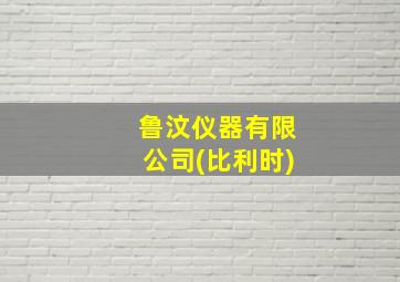 鲁汶仪器有限公司(比利时)