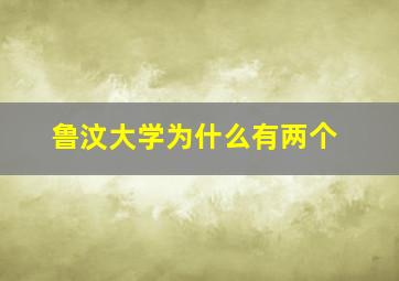 鲁汶大学为什么有两个