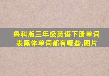 鲁科版三年级英语下册单词表黑体单词都有哪些,图片