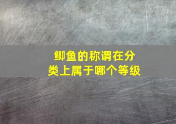 鲫鱼的称谓在分类上属于哪个等级