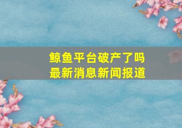 鲸鱼平台破产了吗最新消息新闻报道