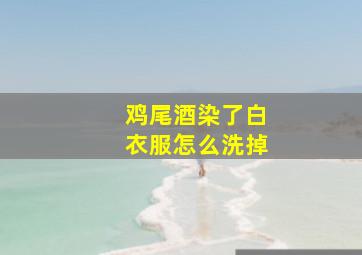 鸡尾酒染了白衣服怎么洗掉