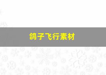 鸽子飞行素材