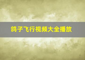 鸽子飞行视频大全播放