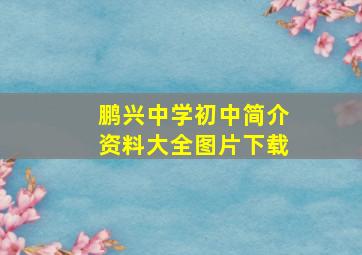 鹏兴中学初中简介资料大全图片下载