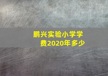 鹏兴实验小学学费2020年多少