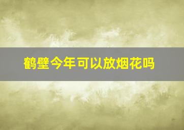 鹤壁今年可以放烟花吗