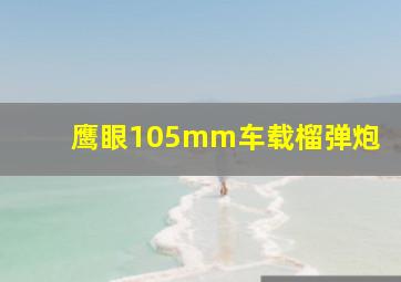 鹰眼105mm车载榴弹炮