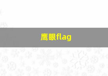 鹰眼flag