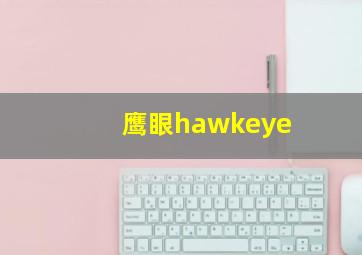 鹰眼hawkeye