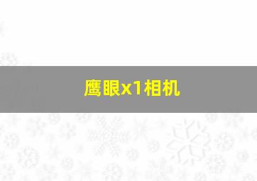 鹰眼x1相机